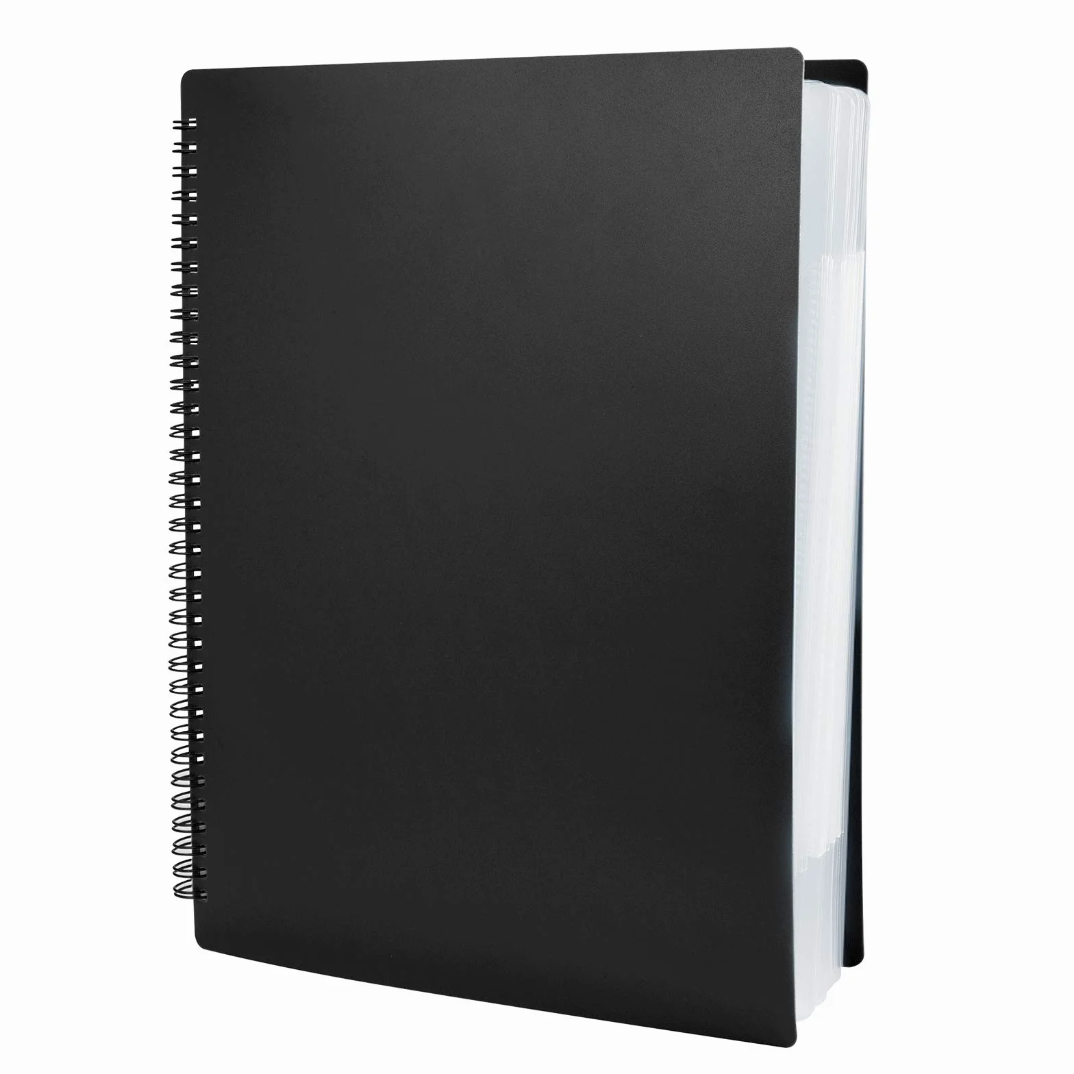Irich Carpetas para partituras, Música Carpeta tamaño A4, Carpeta de archivos de música Carpetas de plástico con pestañas y 60 bolsillos (30 compartimentos, 32 * 24CM, Negro)