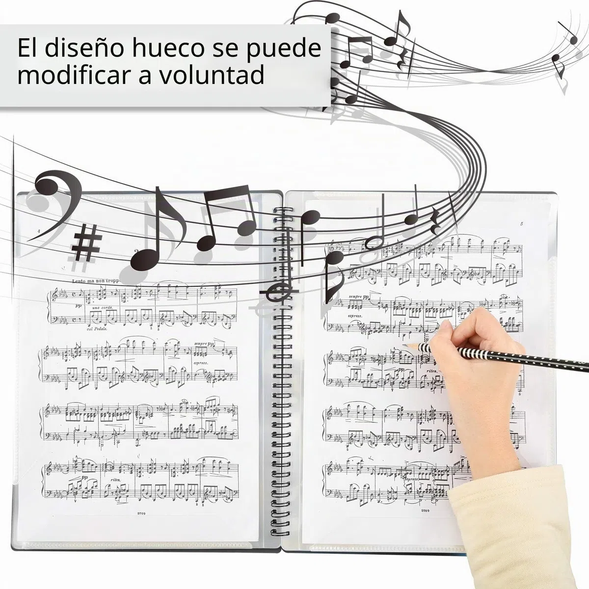Irich Carpetas para partituras, Música Carpeta tamaño A4, Carpeta de archivos de música Carpetas de plástico con pestañas y 60 bolsillos (30 compartimentos, 32 * 24CM, Negro)