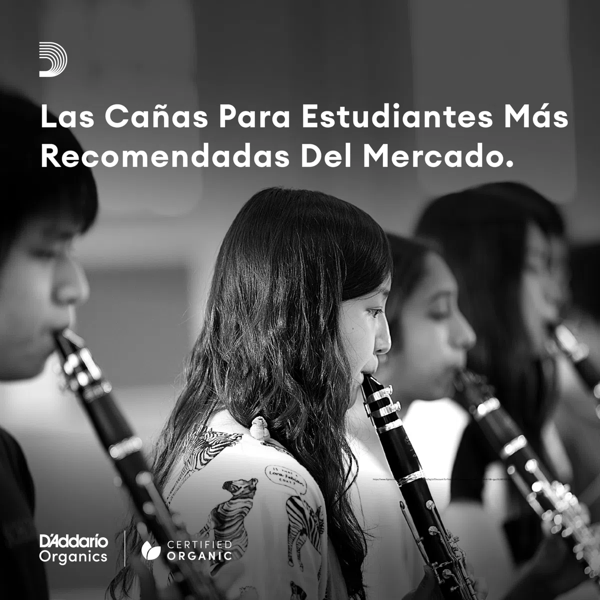 Cañas D'Addario Rico para saxofón barítono, fuerza 2.5, paquete de 3