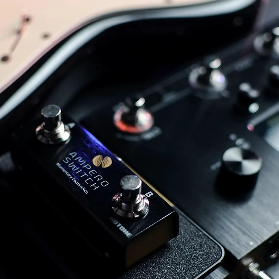 Hotone Pedal de pedal dual momentáneo de 2 vías, controlador de interruptor de pie Ampero Switch 6,35 mm